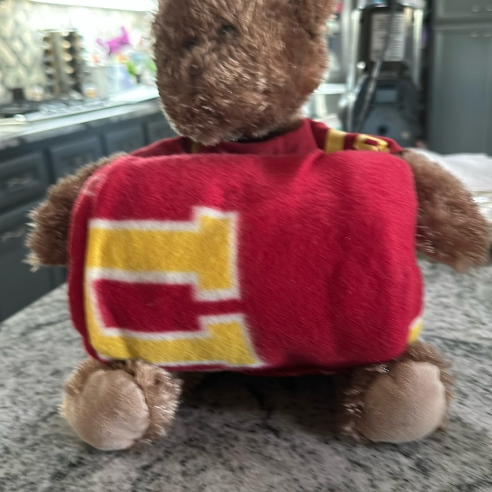 Stuffed bear & lap blanket